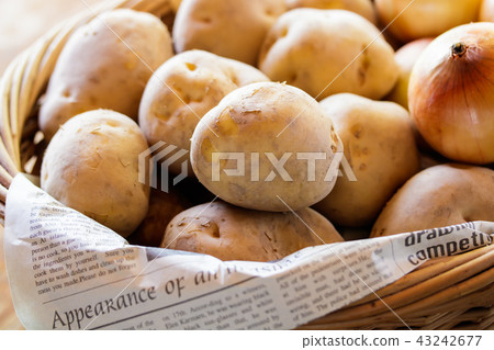 Potato and onion Potato and onion 43242677