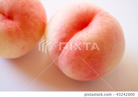 桃子 桃子 43242800
