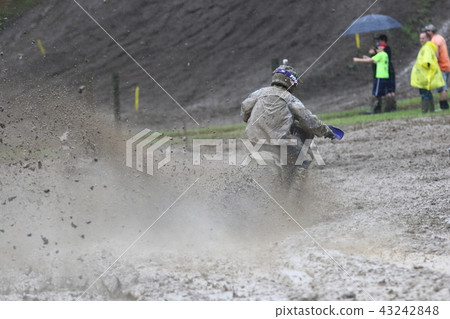 American motocross American motocross 43242848
