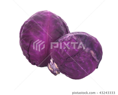 Purple cabbage on white background Purple cabbage on white background 43243333