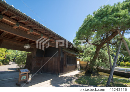 Toyama Memorial Hall entrance Hiki-gun Kawashima-cho 43243556