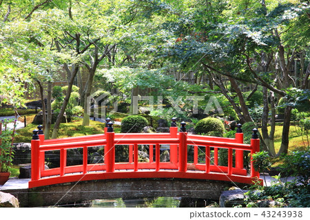 Taiko Bridge in Japanese Garden 43243938