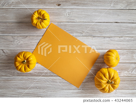 pumpkin with Orange paper sheet 43244065