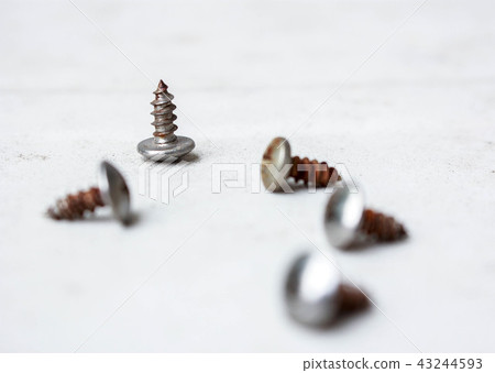 The screws The screws 43244593