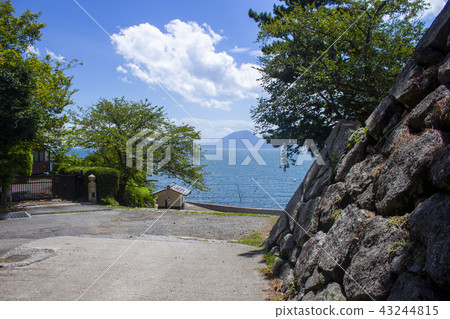 Hiji Castle Castle Park and Beppu Bay 43244815