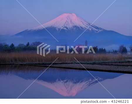 Oshino Fuji Oshino Fuji 43246221
