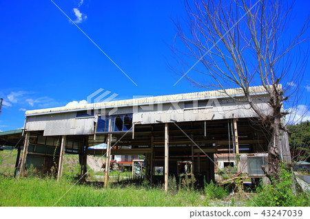 Asakura City Tochigi district (August 2018) after heavy rainfall disaster in northern Kyushu 43247039