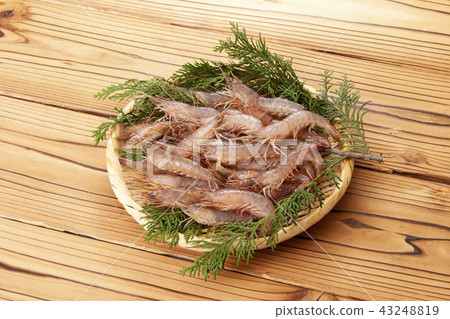 Shrimp Shrimp 43248819