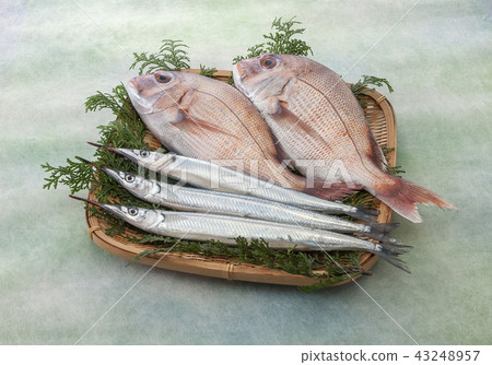 Thailand and Sayory 43248957