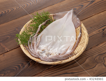 隔夜乾燥 43248981