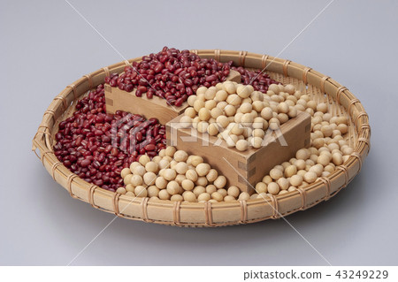 Soy and red beans 43249229