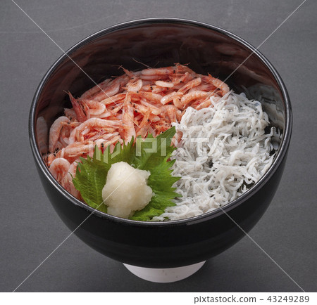 Sakura Ebi Toshi的玫瑰 43249289