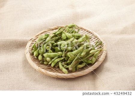 Edamame 43249432