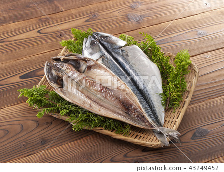 幹鯖魚 43249452