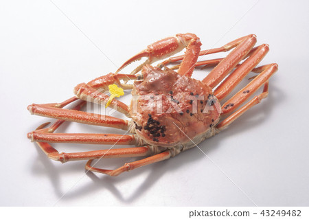 Echizen已被標記 43249482