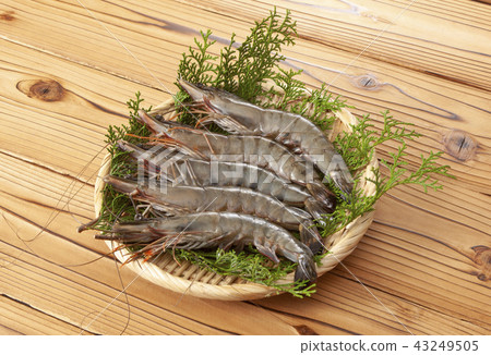 black Tiger 43249505