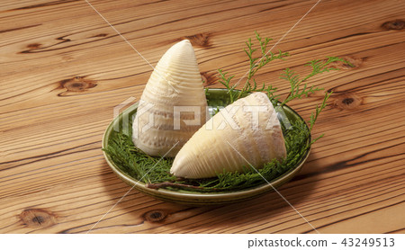 Boiled bamboo shoots 43249513