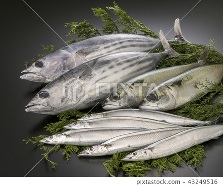 Seasonal fish 43249516