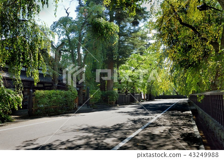 Kakunoda武士家風格的街道 43249988