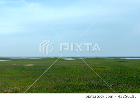 Drought of Lake Wetlands 43250183