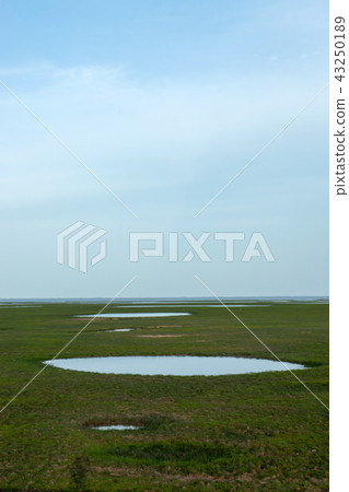 Drought of Lake Wetlands 43250189