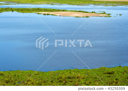 Savannah landscape with river 43250309