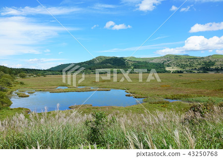 Yashima wetland roundabout Yashimagaike Kirigamine plateau Suwa-gun Shimosuwa-cho Yashima wetland roundabout Yashimagaike Kirigamine plateau Suwa-gun Shimosuwa-cho 43250768