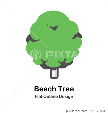 Beech tree Outline Flat illustration - Stock Illustration [43251581 ...