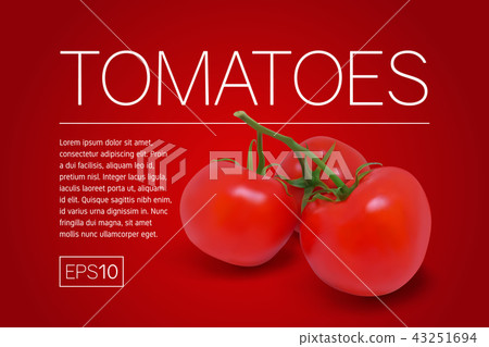 Three ripe red tomatoes on a branch - Stock Illustration [43251694] - PIXTA
