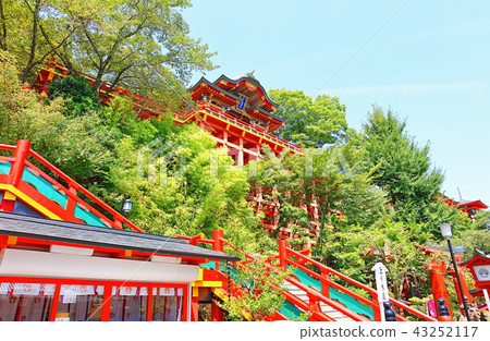 Shutoku Inari Shrine _佐賀縣鹿島市 43252117