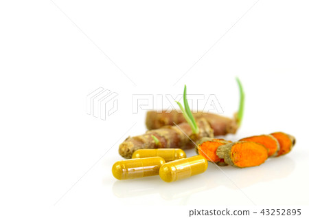 Turmeric root and turmeric powder. Turmeric root and turmeric powder. 43252895