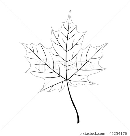Contour maple leaf isolated on a white background. Contour maple leaf isolated on a white background. 43254176