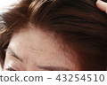 護髮女性 43254510