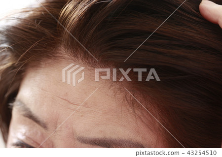 護髮女性 43254510