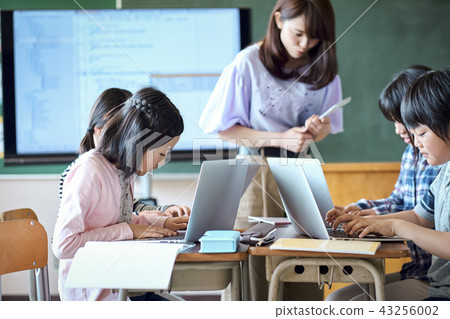 Elementary school IT education class scenery 43256002