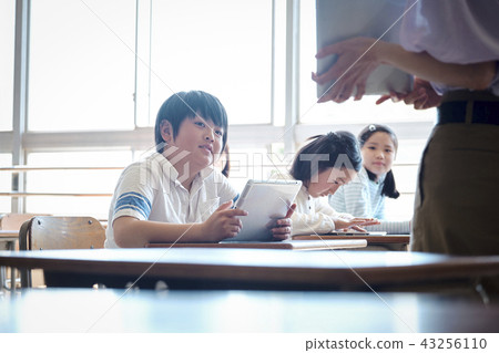 Elementary school IT education class scenery 43256110