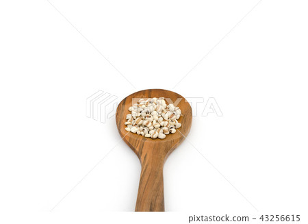 Job's Tears on wooden spoon isolated white 43256615