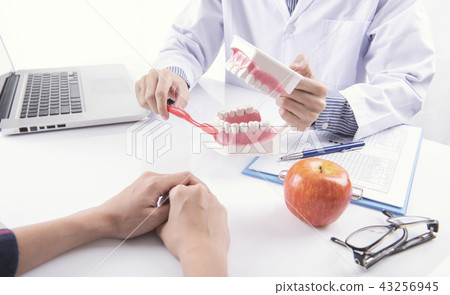 Dentist Showing Cleaning brush teeth denture Dentist Showing Cleaning brush teeth denture 43256945