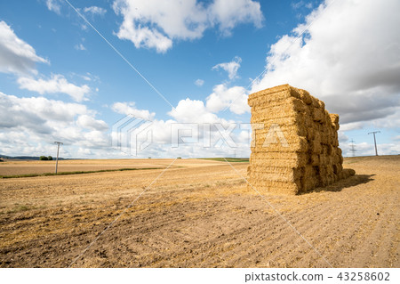An hay bale 43258602