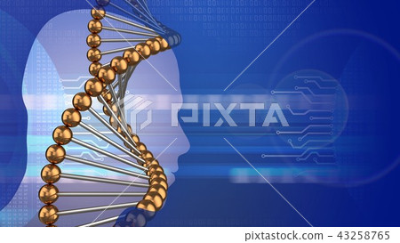 3d abstractwith dna structure head silhouette  43258765