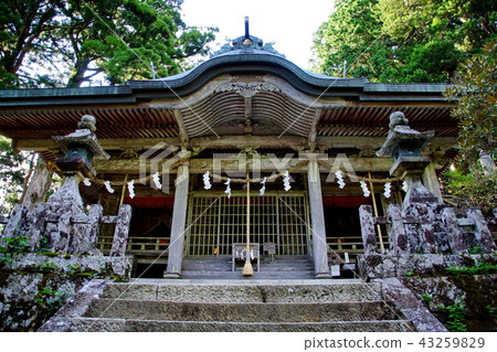 Kumano Sanzan Okunonomiya Tamaki Shrine Ohondon (Totsugawa-mura, Yoshino-gun, Nara Prefecture) 43259829