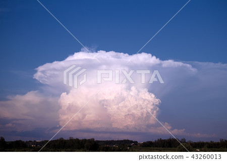 宇都宮市Kanatokoun(積雨雲) 宇都宮市Kanatokoun(積雨雲) 43260013