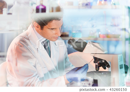 Life science researcher microscoping in genetic scientific laboratory. Life science researcher microscoping in genetic scientific laboratory. 43260150