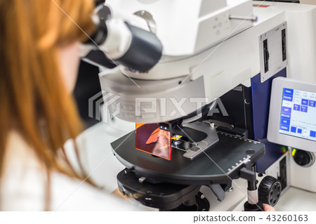 Helth care professional microscoping on hi-tec fluorescent microscope. 43260163
