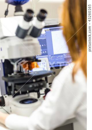 Helth care professional microscoping on hi-tec fluorescent microscope. 43260165