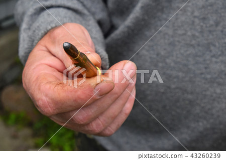 Man hand showing 7.62 caliber ammunition bullet 43260239