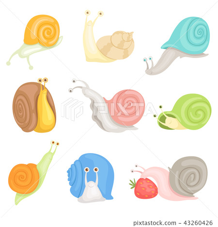 Cheerful little garden snails set, cute clams with colorful shells vector Illustrations on a white 43260426
