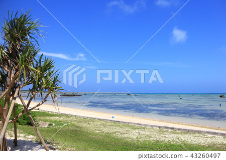 Beach of Sawada Beach of Sawada 43260497
