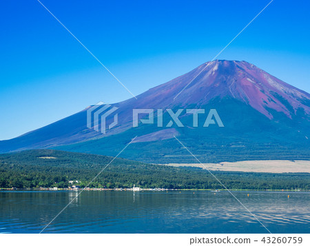Fuji seen from the shore of Lake Yamanaka Fuji seen from the shore of Lake Yamanaka 43260759