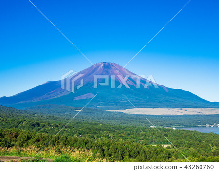 Fuji seen from the shore of Lake Yamanaka Fuji seen from the shore of Lake Yamanaka 43260760